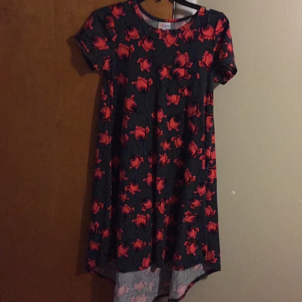 Lularoe xxs Carly